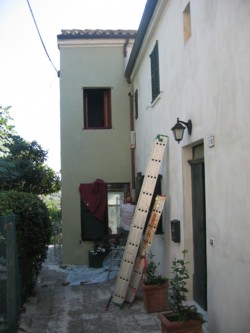 Painting the house