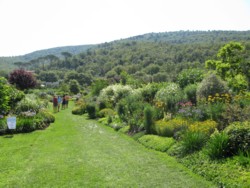 reinhardt garden