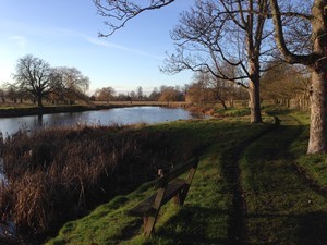 Un lago in Home Park